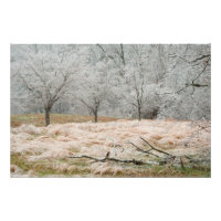 Tormenta de hielo en Tennessee rural - Fotografía 