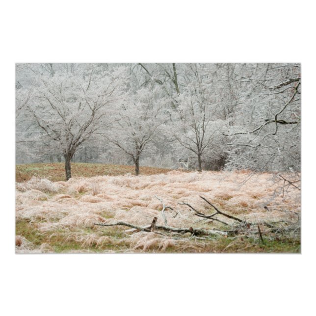 Póster Tormenta de hielo en Tennessee rural - Fotografía  (Anverso)