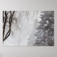 Tormenta de invierno, Ohio.