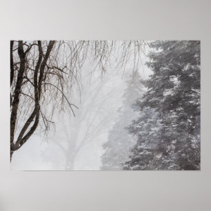Póster Tormenta de invierno, Ohio.