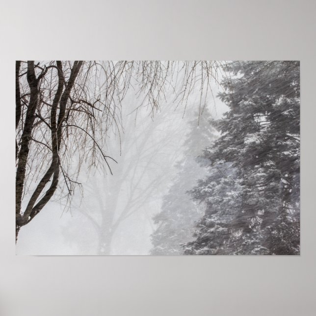 Póster Tormenta de invierno, Ohio. (Frente)