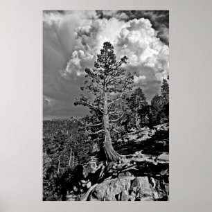 Póster Tormenta de verano en el lago Tahoe,