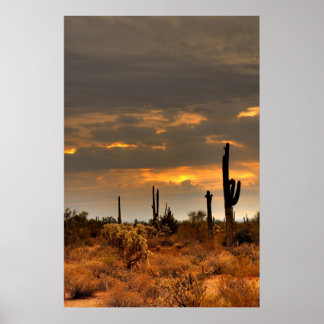 Póster Tormenta del desierto