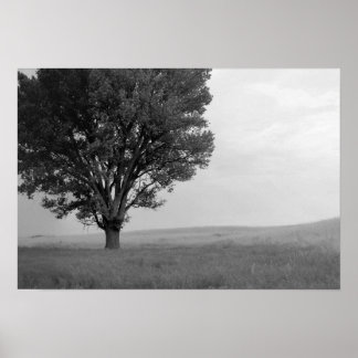 Póster Tormenta seca sobre las praderas de Oklahoma III (