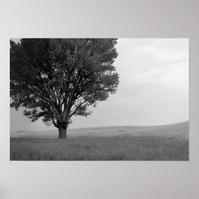 Póster Tormenta seca sobre las praderas de Oklahoma III ( (Frente)