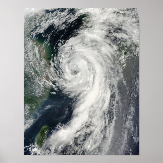 Póster Tormenta tropical Dianmu (Frente)