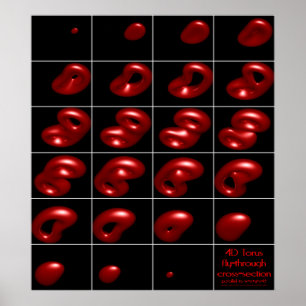 Póster toro 4d mosca-por la sección representativa