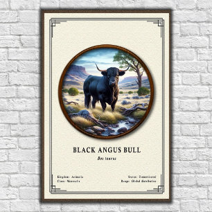 Póster Toro Black Angus Serie de Zoología
