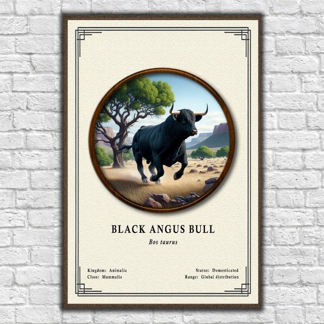 Póster Toro Black Angus Serie de Zoología (Subido por el creador)