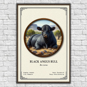 Póster Toro Black Angus Serie de Zoología