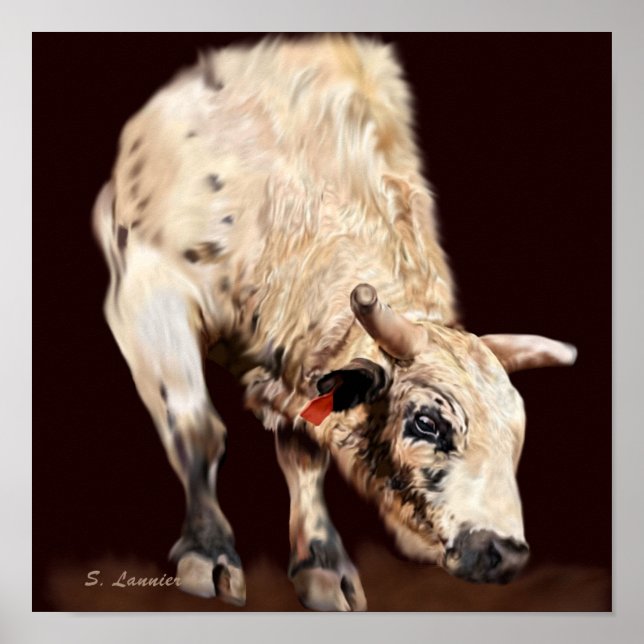 Póster Toro de rodeo blanco que se encabrita (Frente)