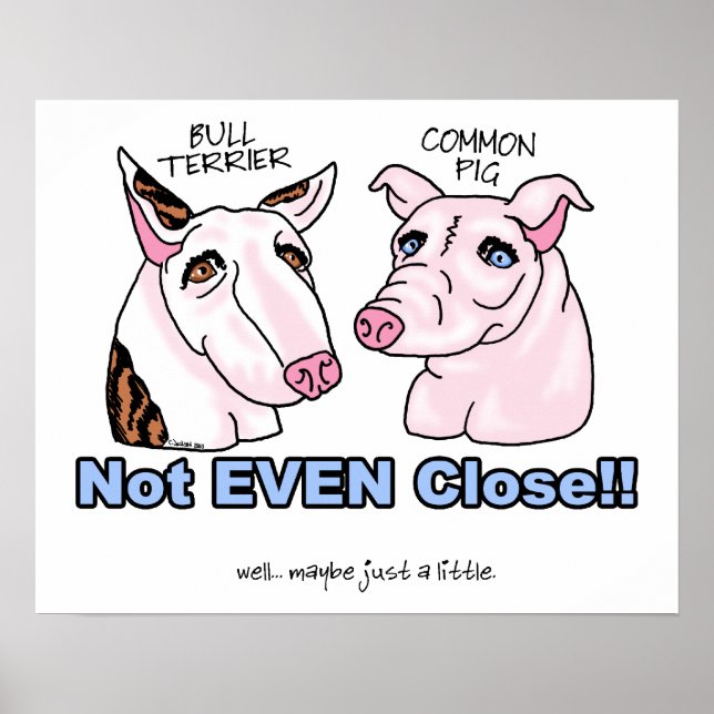 Póster Toro Terrier NO Un Cerdo (Frente)