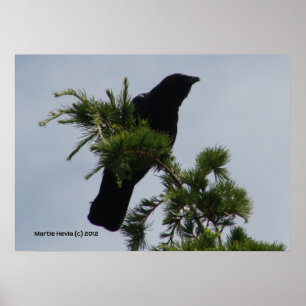 Póster Torre Crow Watch