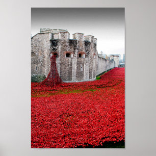 Póster Torre De Londres Poppies Red Poppy