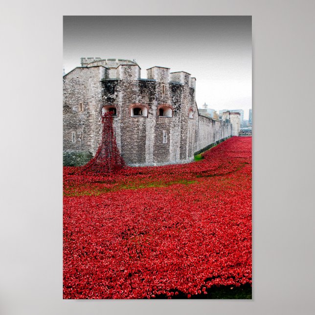 Póster Torre De Londres Poppies Red Poppy (Frente)