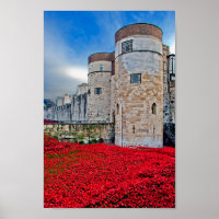 Torre de Londres Red Poppies Inglaterra Reino Unid