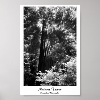 Póster Torre de Naturas poster