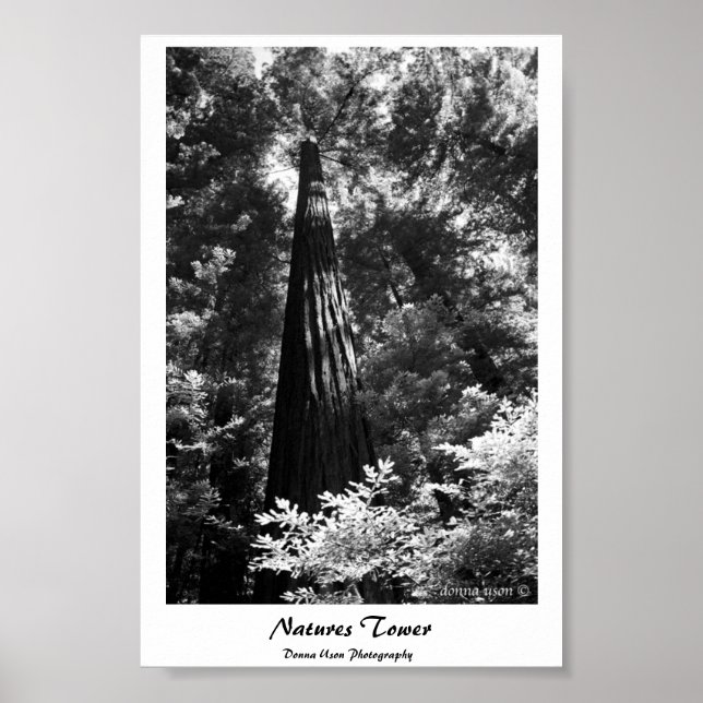 Póster Torre de Naturas poster (Frente)