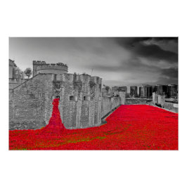 Póster Torre De Pamapolas Rojas De Londres
