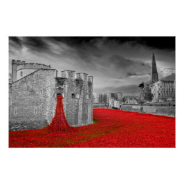 Póster Torre De Pamapolas Rojas De Londres