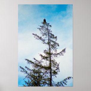 Póster Torre de vigilancia