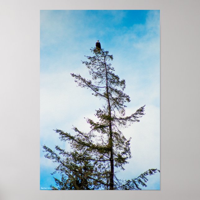 Póster Torre de vigilancia (Frente)