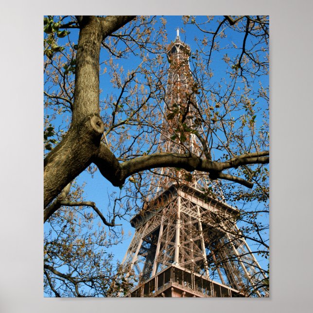 Póster Torre Eiffel de París en Francia Postcard (Frente)