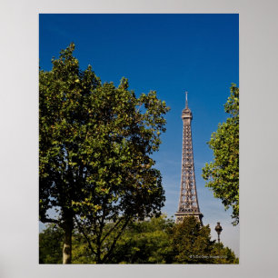 Póster Torre Eiffel y árboles, París, francia