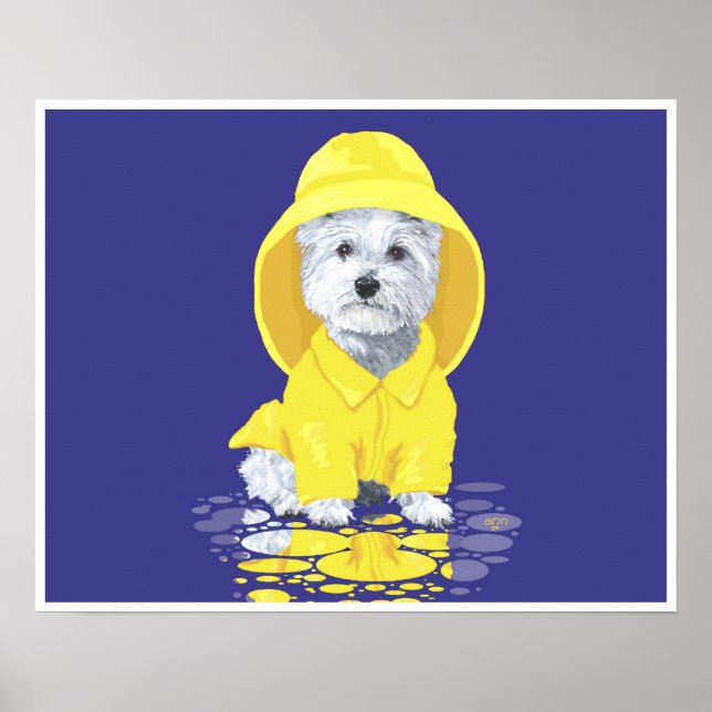 Póster Torrential de Abril West Highland White Terrier (Frente)