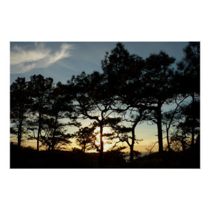 Póster Torrey Pine Sunset II California