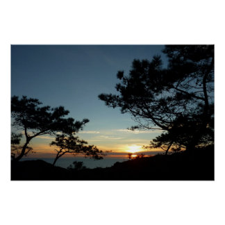 Póster Torrey Pine Sunset III California