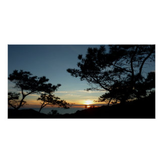 Póster Torrey Pine Sunset III California