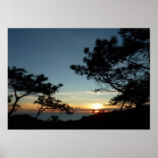 Póster Torrey Pine Sunset III California Landscape