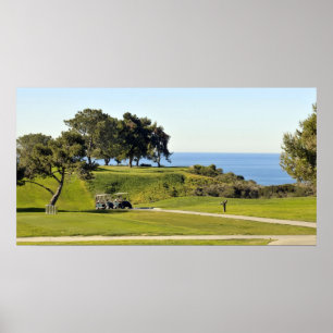 Póster Torrey Pines