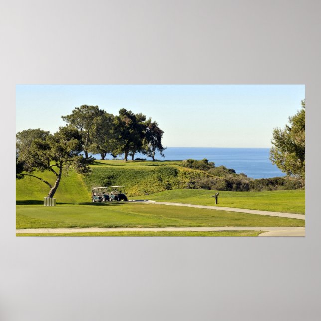 Póster Torrey Pines (Frente)