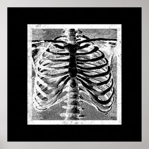 Póster Torso de huesos de esqueleto vintage Halloween