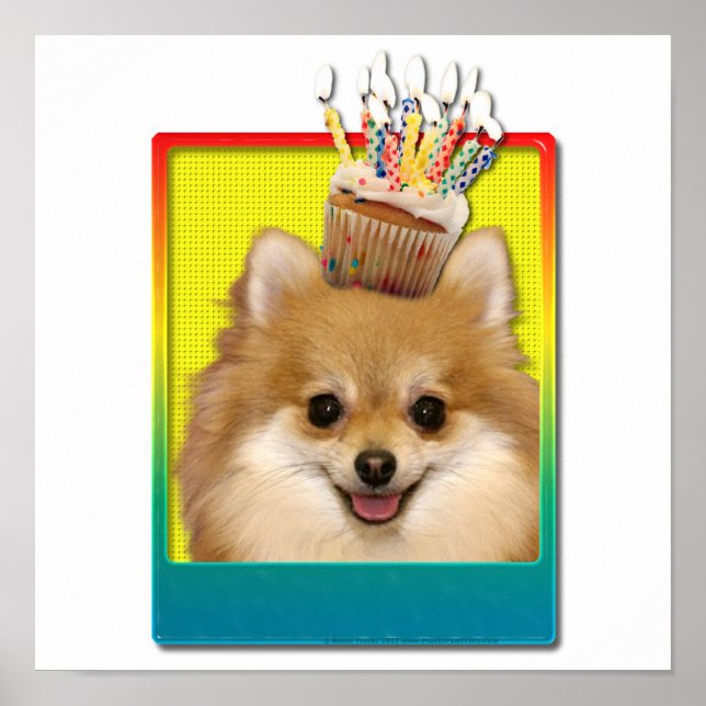 Póster Torta de cumpleaños - Pomerania (Frente)