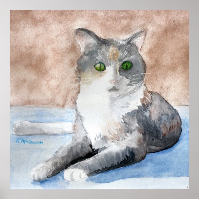 Póster Tortoisconcha de Ojo Verde Gris Gris Gato Blanco A (Frente)