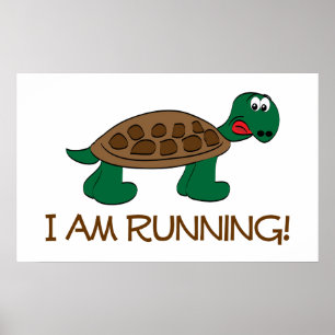 Póster Tortoise en ejecución