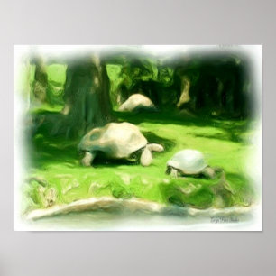 Póster Tortoise Race