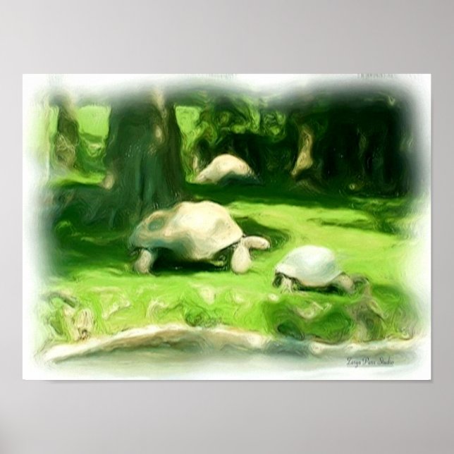 Póster Tortoise Race (Frente)