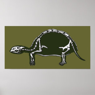 Póster tortoise skeleton