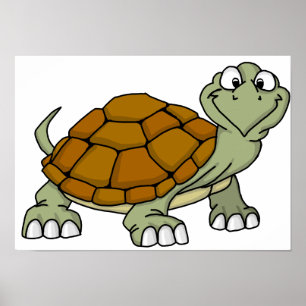 Póster tortuga