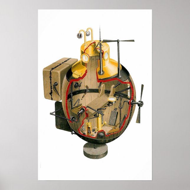 Póster Tortuga (Frente)