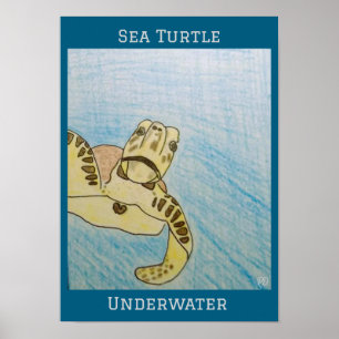 Póster Tortuga del Mar Verde