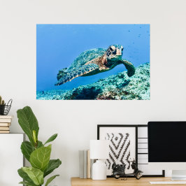 Póster Tortuga del Mar Verde