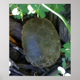 Póster Tortuga entre el follaje