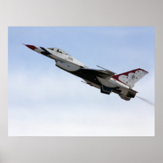 Póster Tortuga F-16 en vuelo