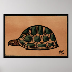 Póster Tortuga - Ilustracion de libros anticuario y color