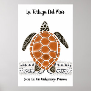 Póster Tortuga mar del La el poster de la tortuga de Del